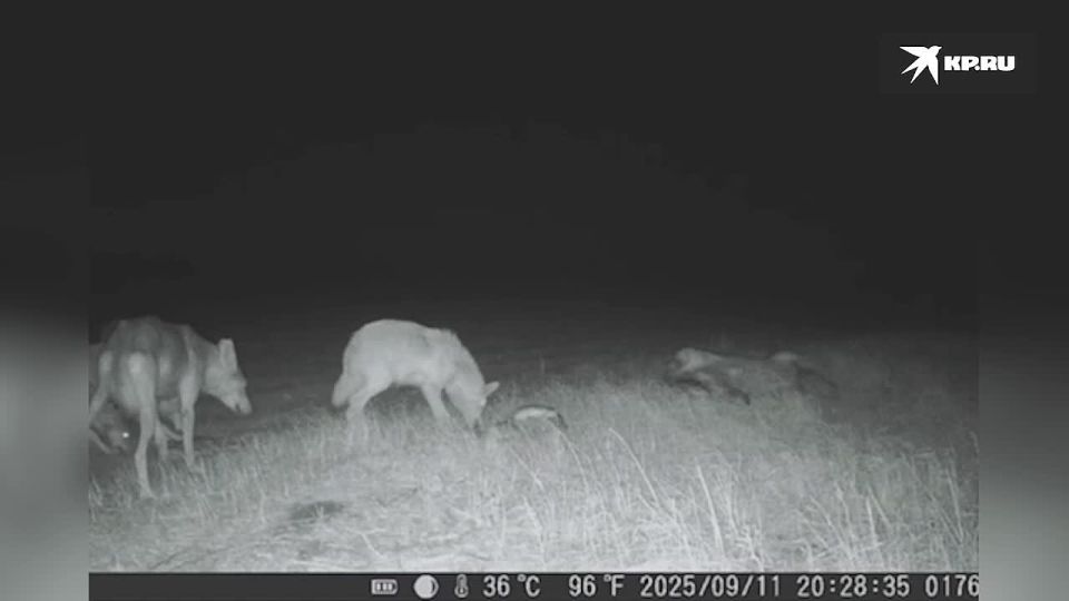 ��������� ������ �������� �� ����������� � ���������� �������