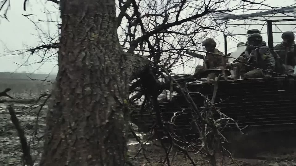 ������� ������ - ������ ���� �������!