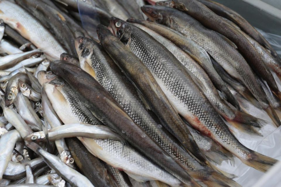 � ���������� ������� ������� �������������������� ��������