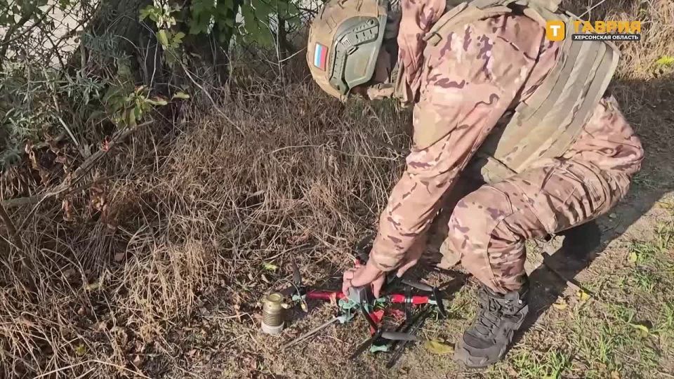 ������� ���� 18-� ����� ����������� ����� "�����" ���������� ���������������� ���� ��� �� ���������� �����������