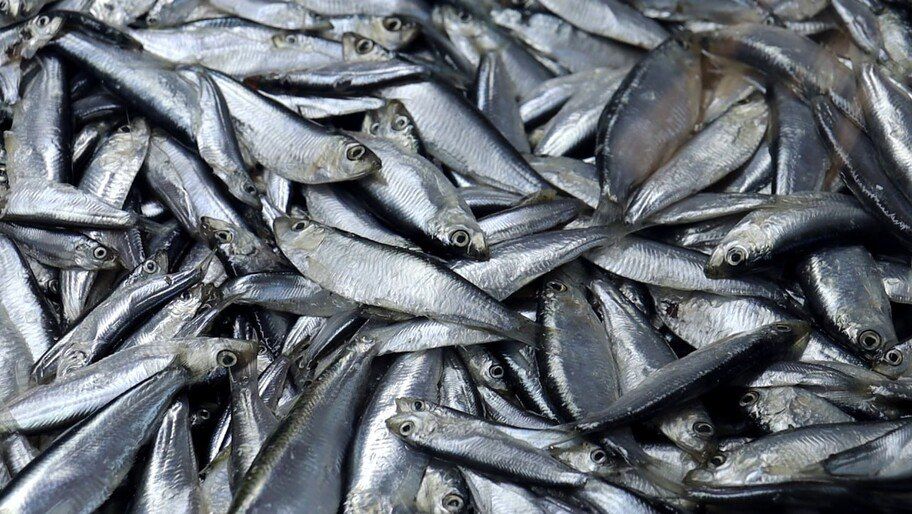 ������ ������ ��������������������� ��������� ������� ��������� � ���������� �������