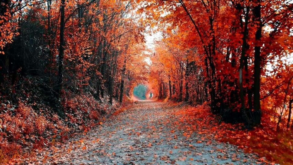 � ������ �� �� ��������, ����� ��� ���� �� ������. ���������� ����- ���� ������, ������� ����� � ����� ����