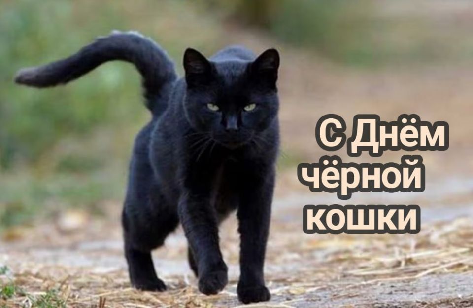 ������� 27 ������� � ���������� 12 ����������