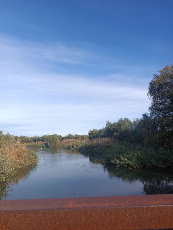 Активистка Движения Первых рассказала, как проводит каникулы