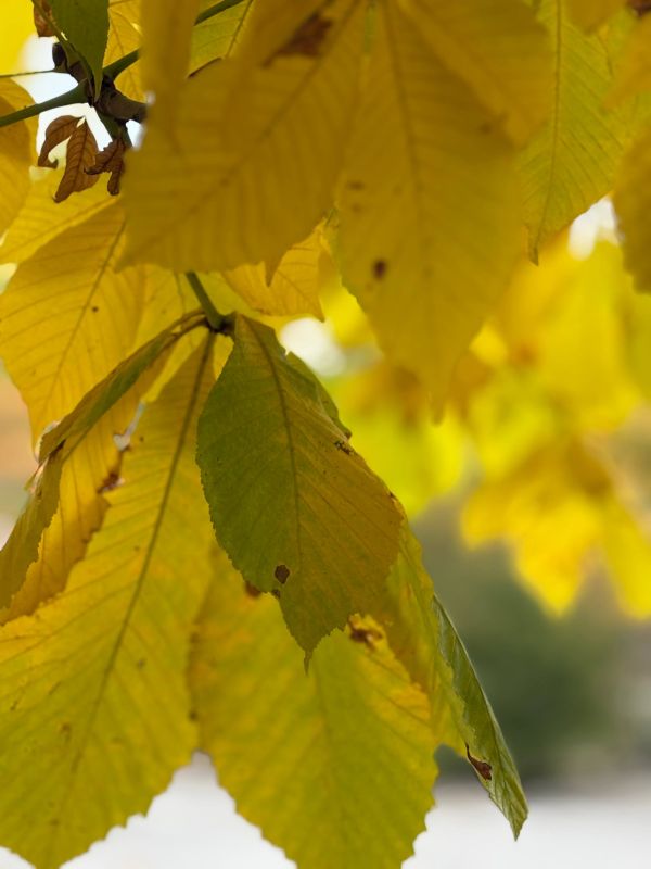 Доброе утро!. Сегодняшнее утро напоминает нам, что уют бывает разным