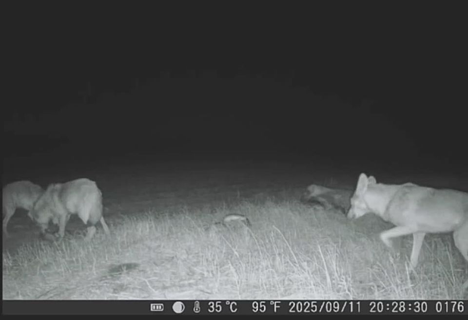 ���������� ����� ��������� ������ ����� � ���������� �������