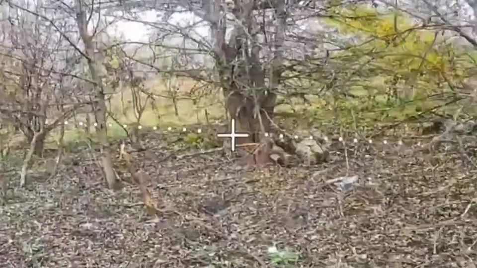 ������ ���������� �� �� �� ������ ���