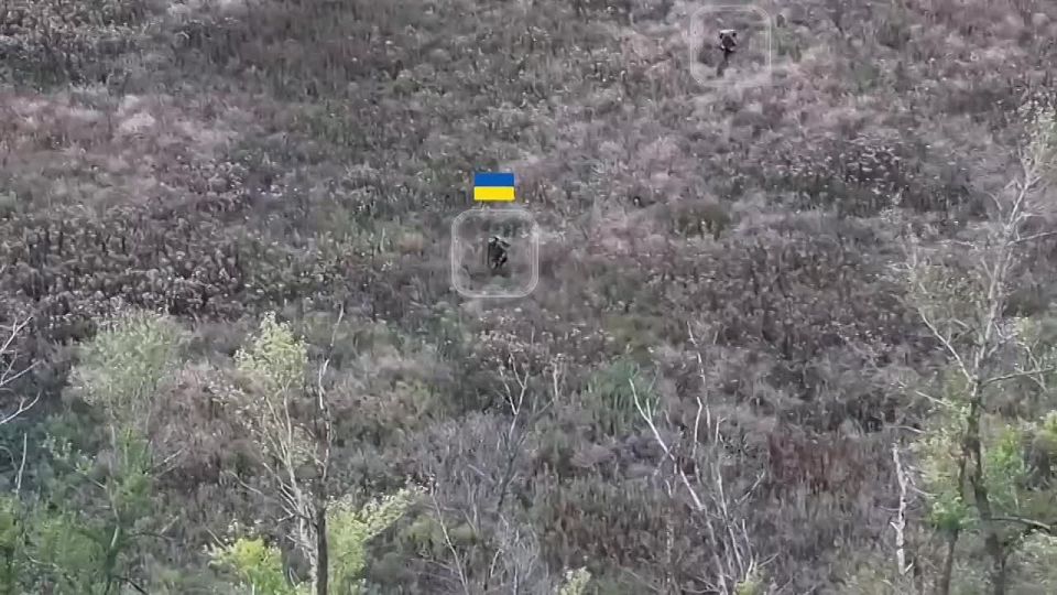 ���������� ��������� ������ ��� � ������� ���