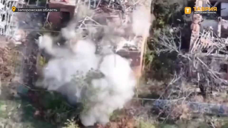 ��������� ���� �� ����������� ����� "�����" ���������� ������� ������� ���