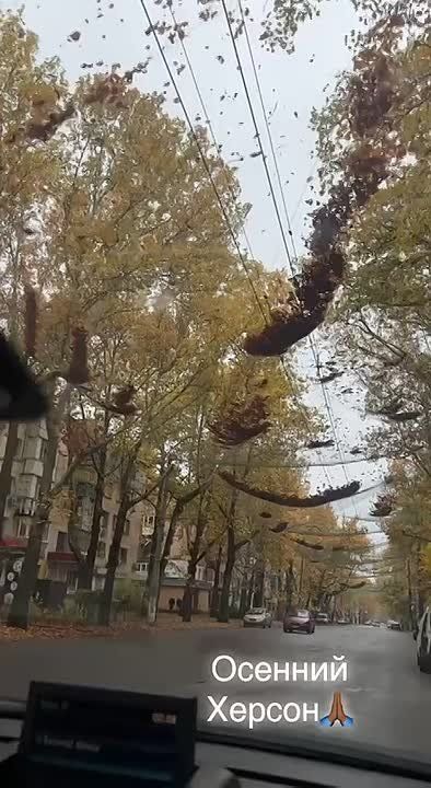 ������, ����������� ������ �� 28 ������� 2025 ����