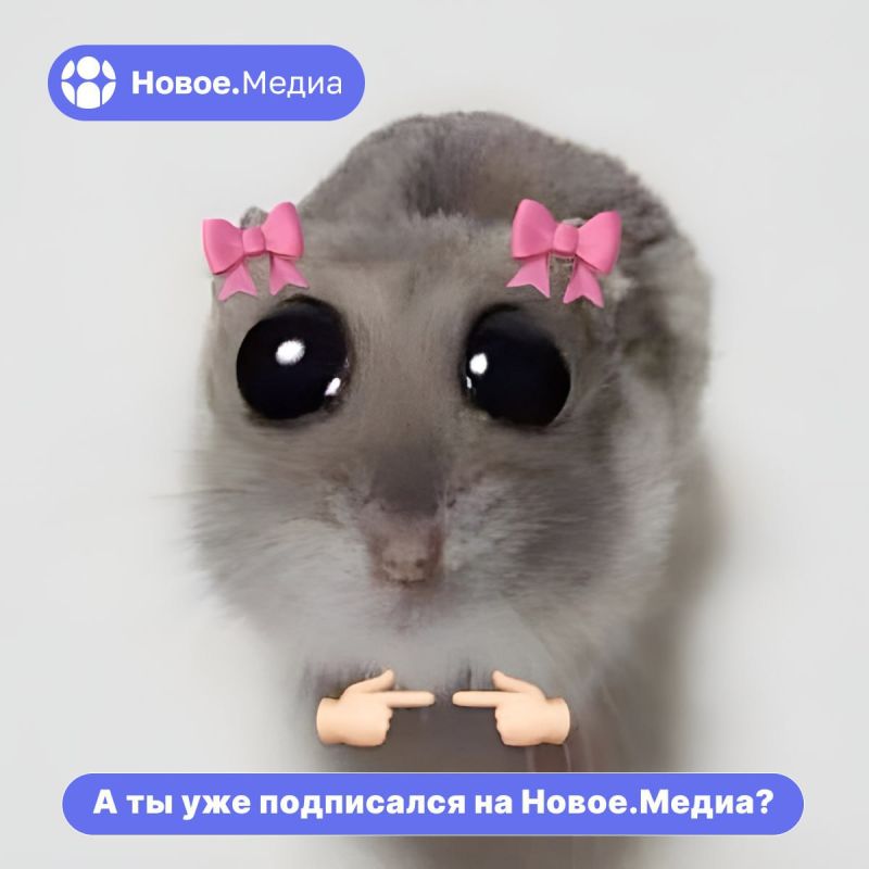 �� ������, ��� ��� ����� ����? ����������� �� �����.����� � ���������� � ���������� ��� ��� ����� ������� ��� ����� ������ �������, ���������� ����������� � ������� �������