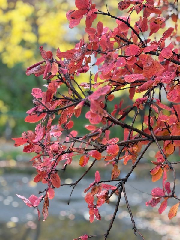 Доброе утро!. А вы знали, что 28 октября во многих странах мира, в том числе и в России, отмечают самый душевный праздник – День бабушек и дедушек? Да-да, у этого дня есть своя официальная дата! И она выбрана не случайно