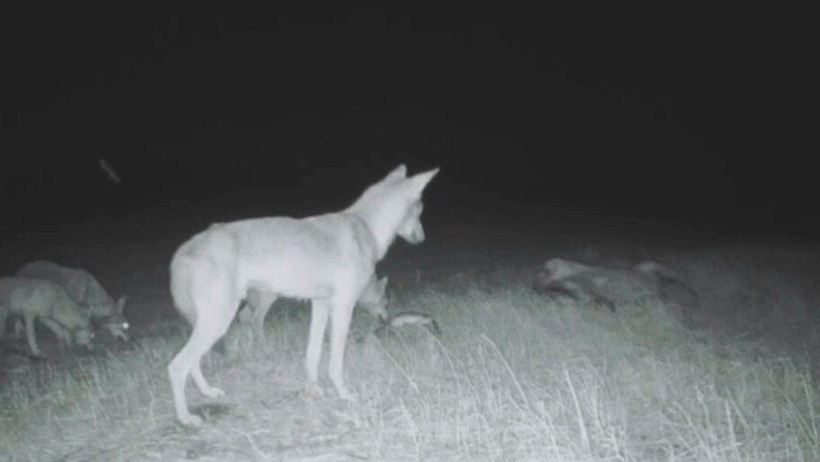 � ���������� ������� � ���� ����������� ������ ��������� ������