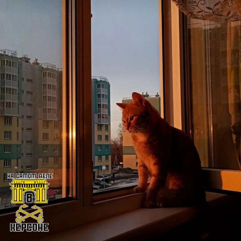 ���������� ���� ��������� � ������ � ���������� �������!