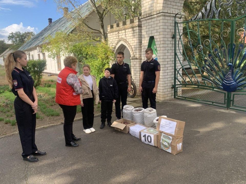 ���� ������� ������������ � �������� �����������