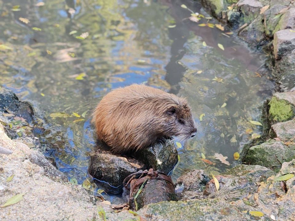 � ����� ������ ����� ������� ���������� ����� ���������� ������������ ������ ����� ������� � ���������� ��������-����