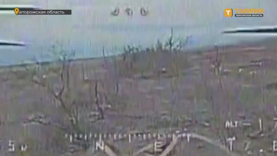 ��������� ���� ����������� �������������� ������� ����������� "�����" �������� ������� � ������ ������ ���