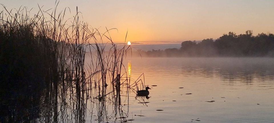 ����������� ������� � ����� �������