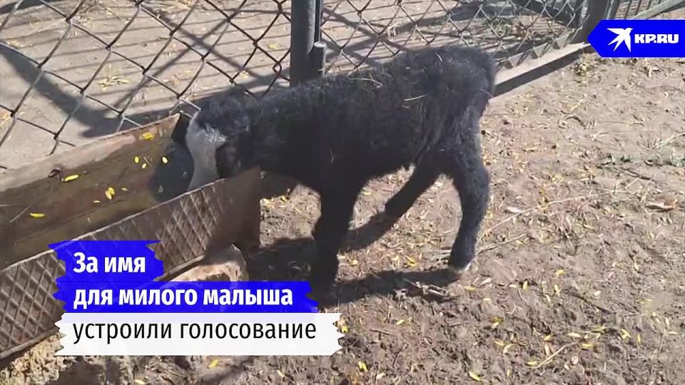 � ���� ���������� ���� � ���������� ����������� ������� �������