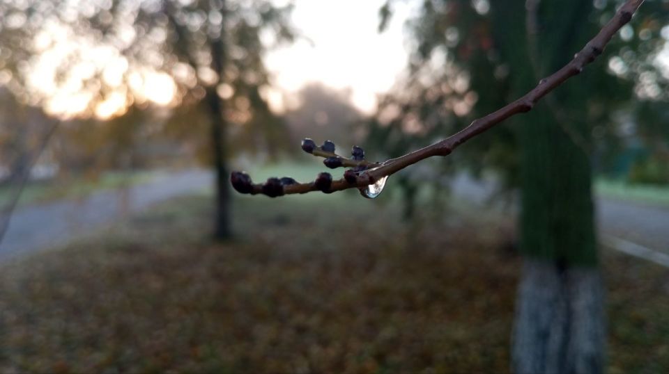 ������ ����, �����������!. ��������, ����� �������� ���� ���������, ����� ���������� ���� ����������� ������� �������� � ��������� ������� �����! �������, �������, ������� ���� ������ ���� � ������ �� ������������� ���!...