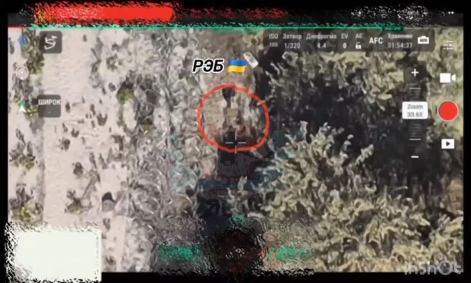 ���������� �����������. ���� � �������� ����� ������: ��������� ��� ������ �� ������