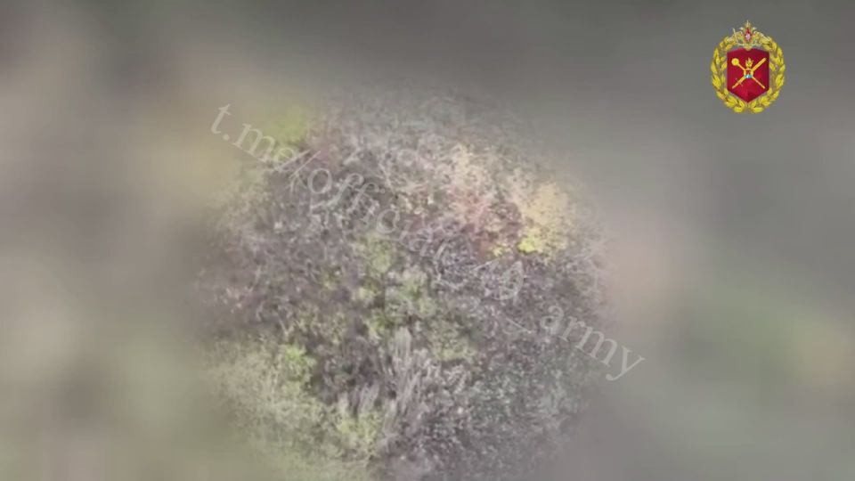 ���� ���������������� �������� ������������ ��� ������� ��������: ����������� �����, �������� ����� � ����������� ���������� �� ��������� ��� ����������������� ������� ������� �������