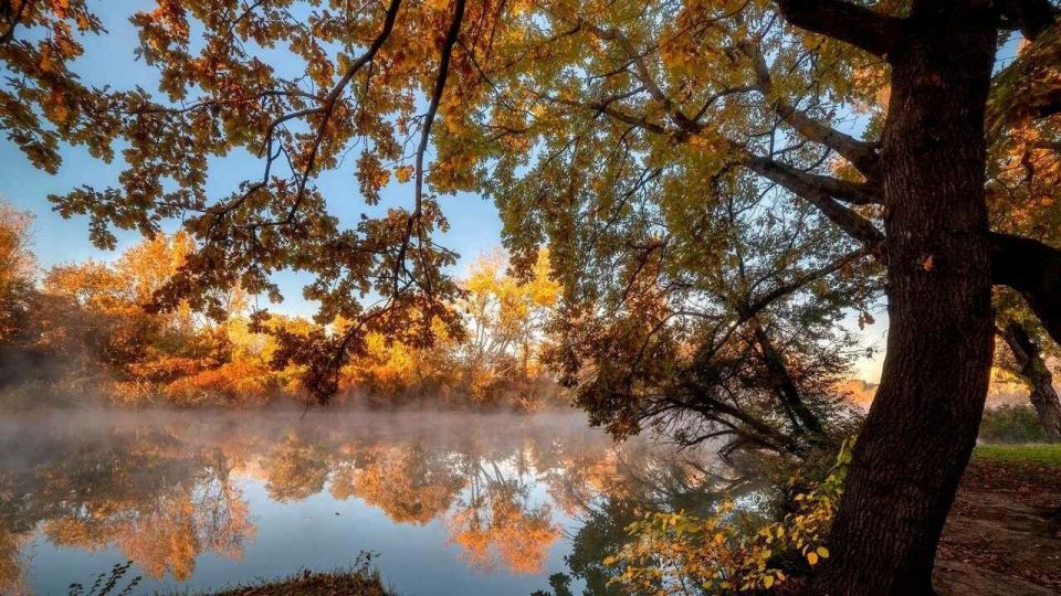 ��� � ����� , � ����� ������� , � ������ � ���� �� �� ��� . ���� ������ � ���� ������ , � ��� ������ � ���� �����