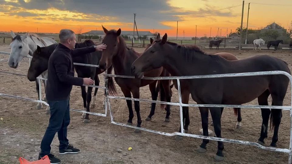 ������ ����� � ���� ��������������� � ��� �� ������ ��� ��� ���������� �������, �� � ������� ����� ��� ��������� ���� �������� � ��������� ������