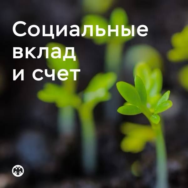 � ������� ���������� ������� ���� ����������� �������� �������� � �������