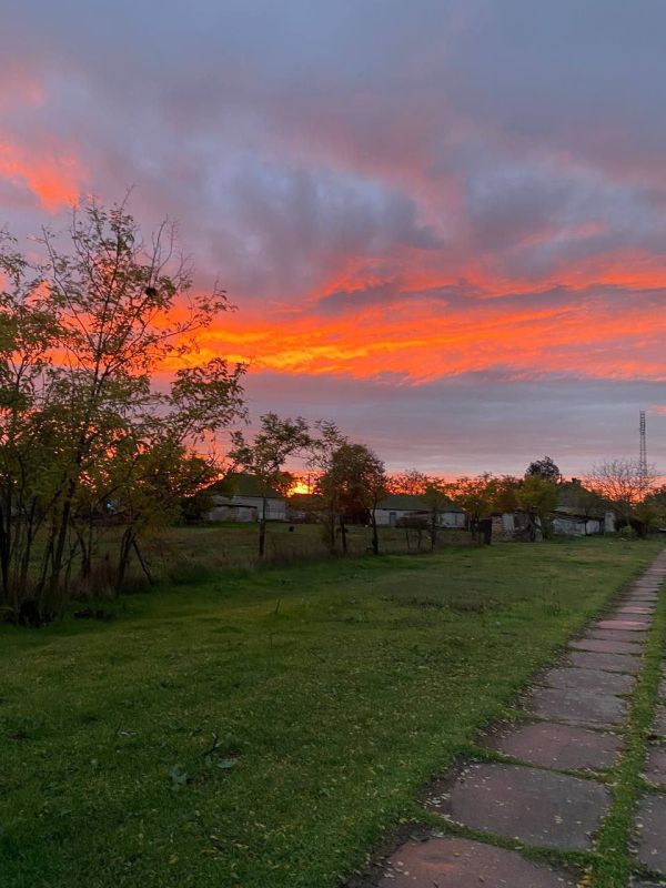 ������ ������ ����������. ������ ������ �� �������� � ���� ���������� ����� �����