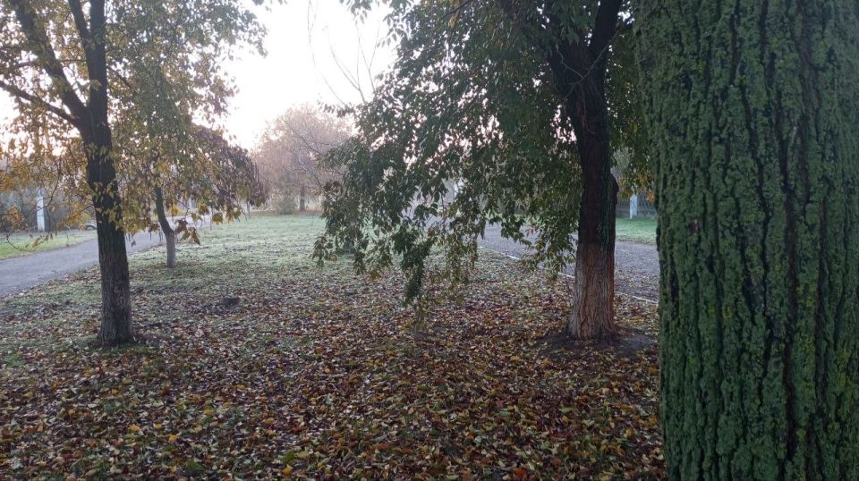 �������, ��������� ���� ��� ���, ������� � ��� ���������