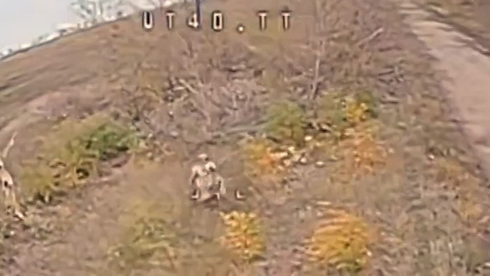 �� ����� ������. ��������-����� ���������� �������