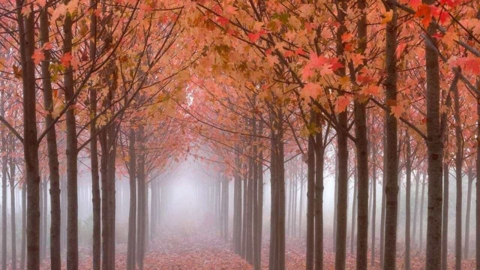 ������ ������� �� �������, � ������ ������� ��� ��� ���. ����� ������, ��� �� � ������, � ��� ��� �������� ���� � ���