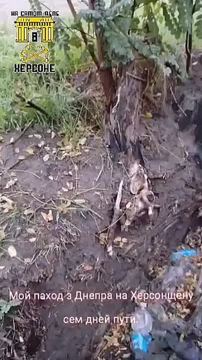 ������ �� ������� ������������ �� ��� � ������, �� ����� � ��� ������, ������������ �����, �� ������