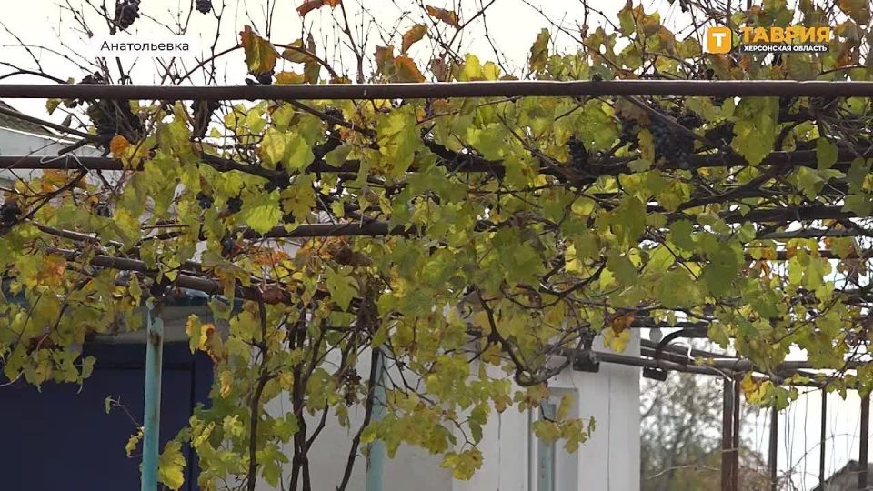 ����������������� ���� "������ �����" �������� ������ ������������ ������ � ���������������� �����