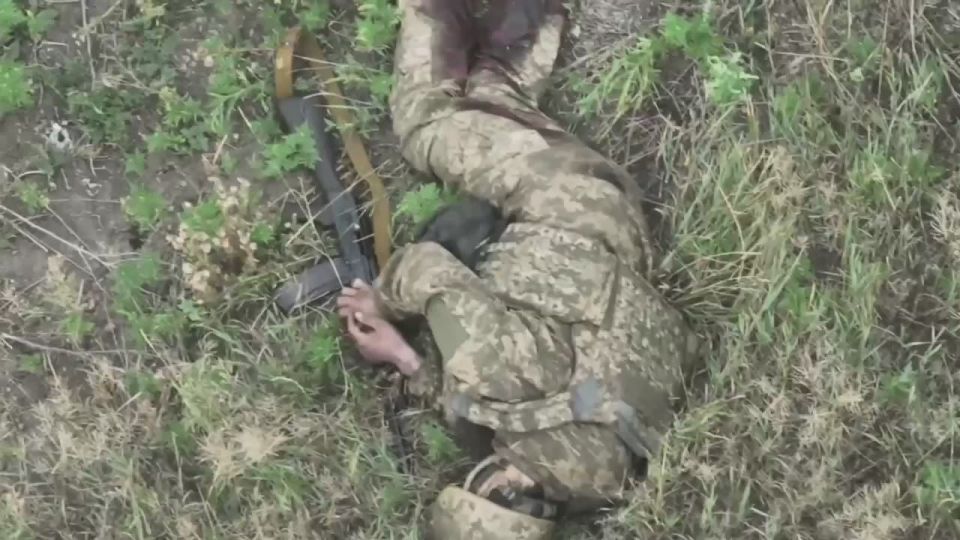 ����������� ����������� ��� ����������� ��� �� ��. ��������� �����������