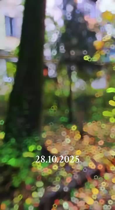 ����� � ������� � ��� ��������� �����