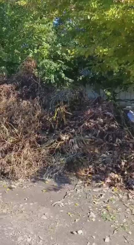 ���������� ���������� � ������� �� ��������������� � ���������� ������