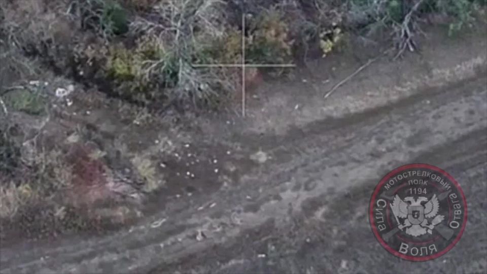 ����������.. ������ �� ������ �����