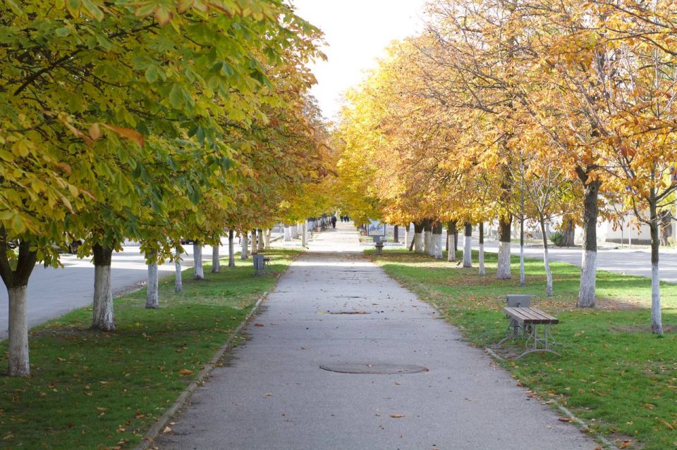 Пышное, величественное увядание природы… Красота этой поры скоротечна — успейте заметить и запомнить каждый её оттенок