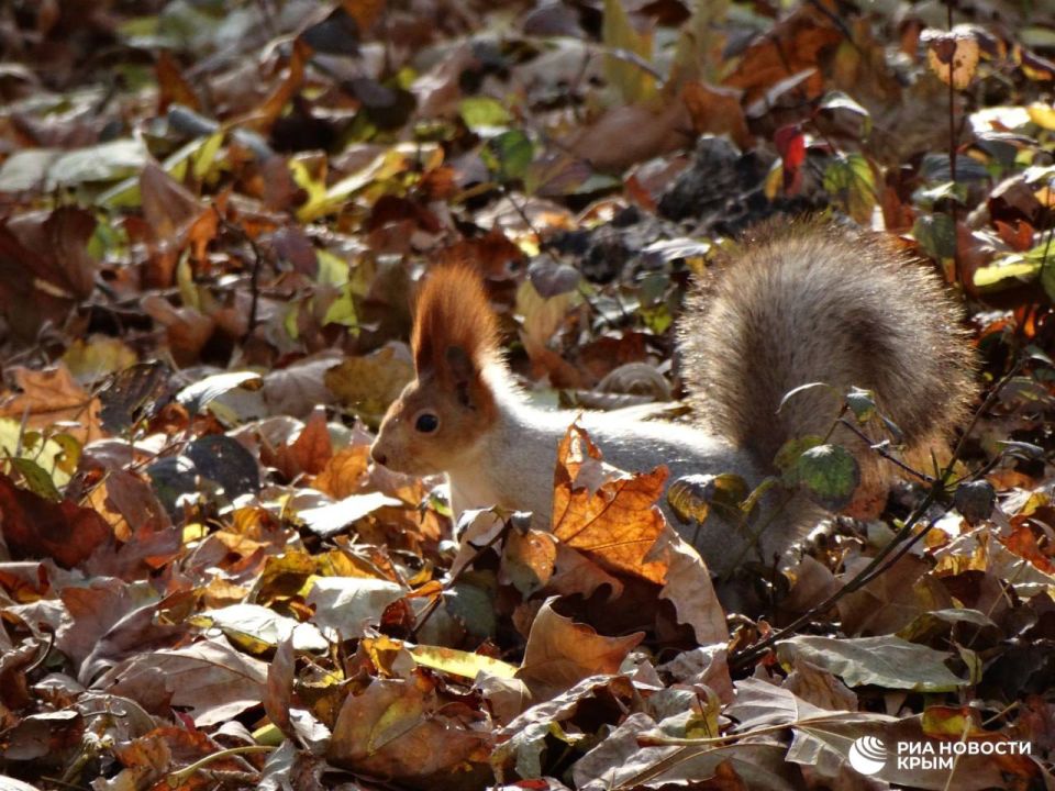 ������ �� ����� ����������� ������