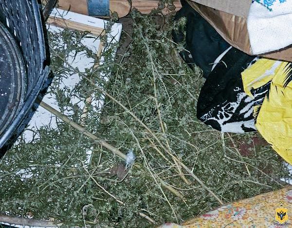 ����������� ������ � ������ ������������ ����� ������������� ������������� ���������