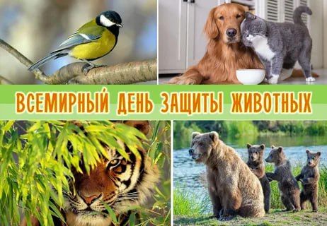 �������, 30 �������, �� �������� ��������� ���� ������ ���� ��������