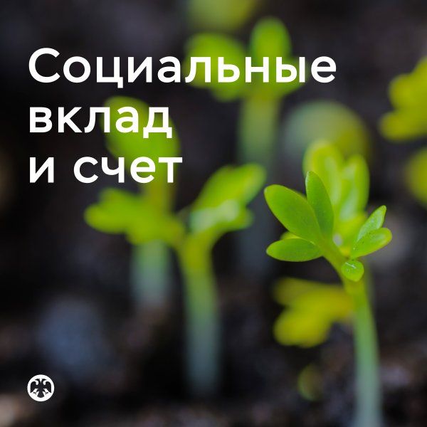 ����� ����������: ������ ���������� ������� ����� �������� ���������� ����� � ���� ����� ���������