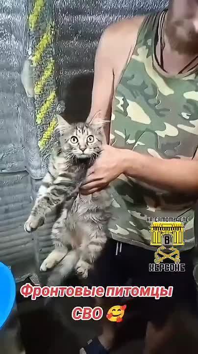 � �������� ���� ������� ���� ����� �������� ������ ����� � ������� � ������� ���������