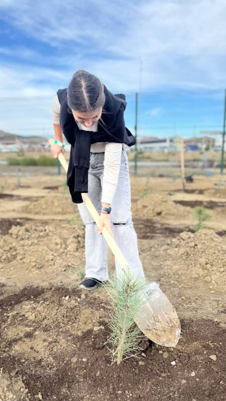 ������������ ������������ ������ ������ - ����� ������� ���������� ������������� � ������� �� ������� ���������: