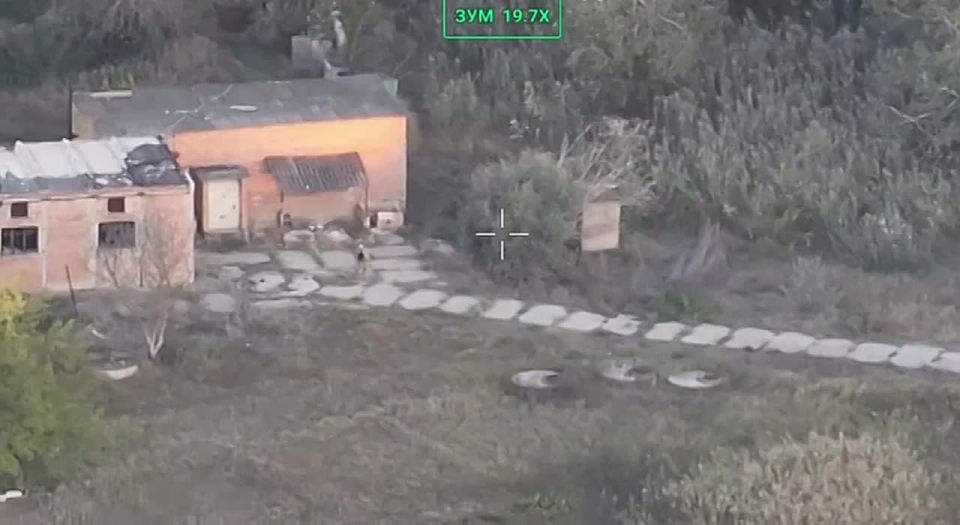 �� ����������� ������� ���������� ������ ������� ��������, � ���������� ������� ������������� ���������� ������������ ���� ���������