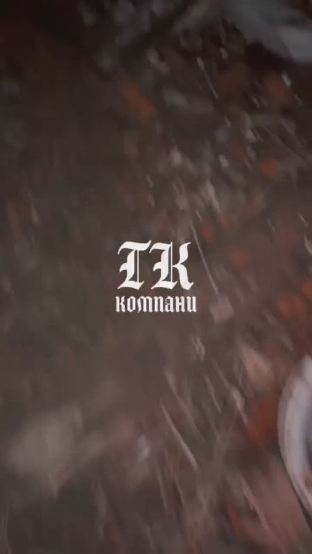 �������� . ���� ������ ������