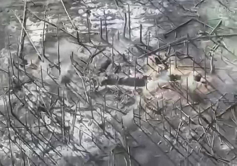 ������� ��������� �� ������ ����� �� �����������