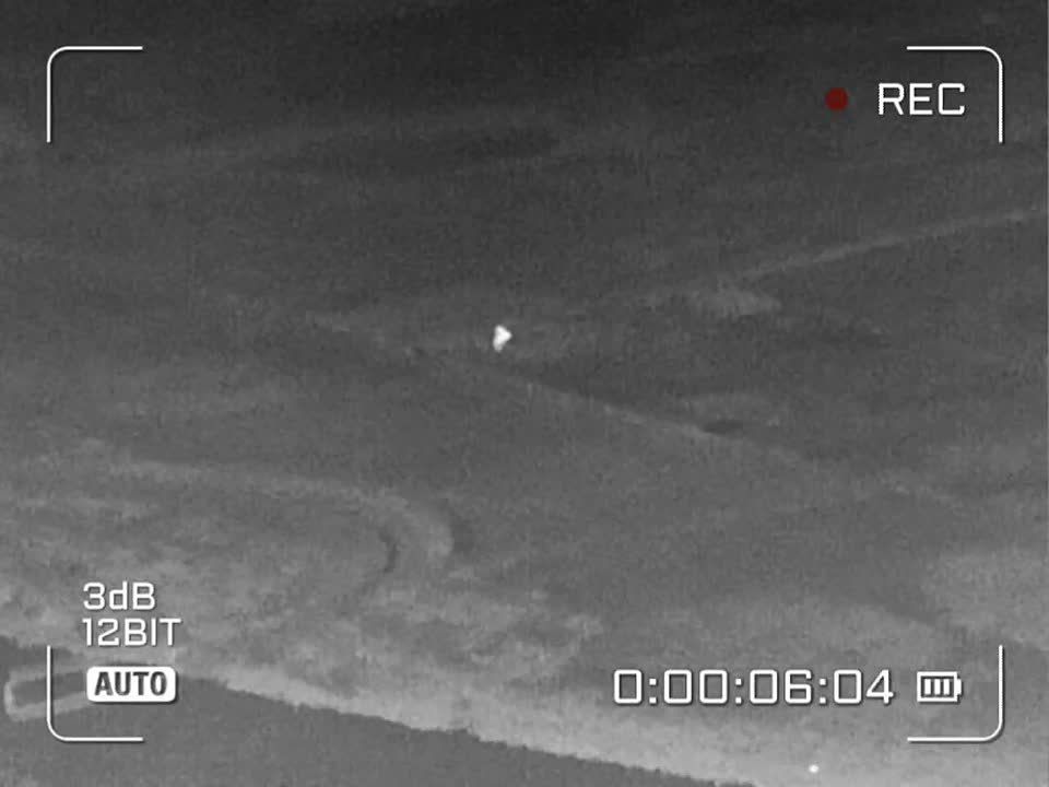 ���� �� �������: ���������� �����������. �.�.��������������